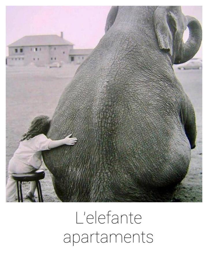 פסקרה Elefante Appartamenti מראה חיצוני תמונה